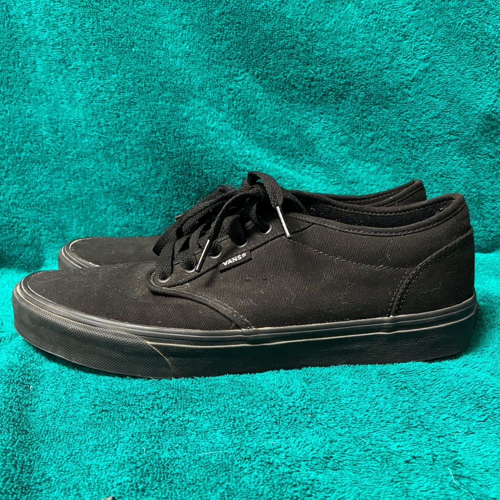 Vans Skate Chukka Low Shoe